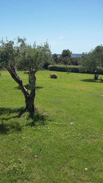 B&B Gli Ulivi SantʼAnna Arresi Buitenkant foto