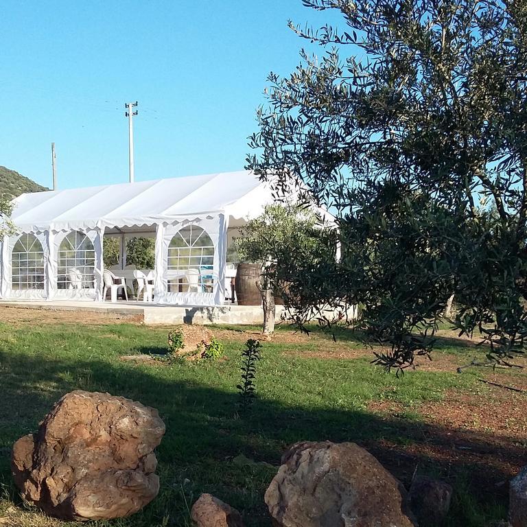 B&B Gli Ulivi SantʼAnna Arresi Buitenkant foto